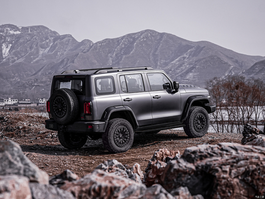 Freio de disco traseiro dianteiro Euro VI Great Wall TANK300 SUV de combustível para SUV de grande valor
