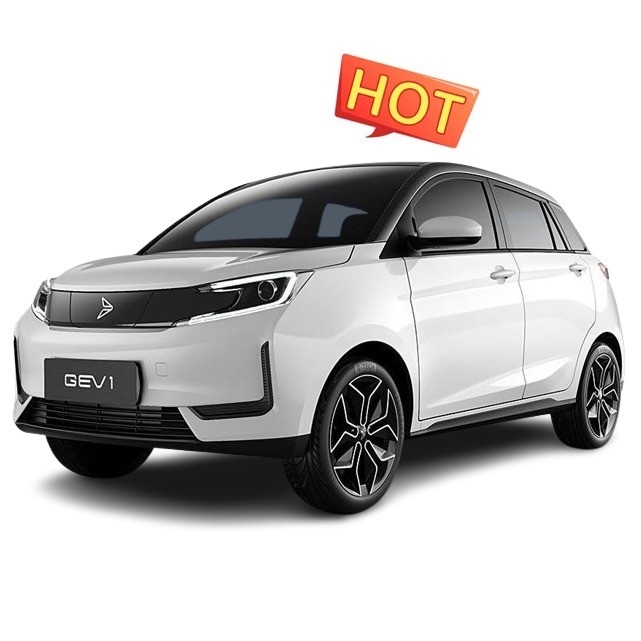 Xinte 2020 Qi Neng GEV 1 Euro VI 305KM 5 portas Hatchback de quatro lugares com carregamento rápido